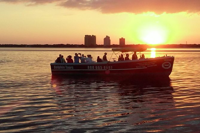 1.5-hour Dolphin Sightseeing Cruise from Tampa - Searching the bay for bottlenose dolphins