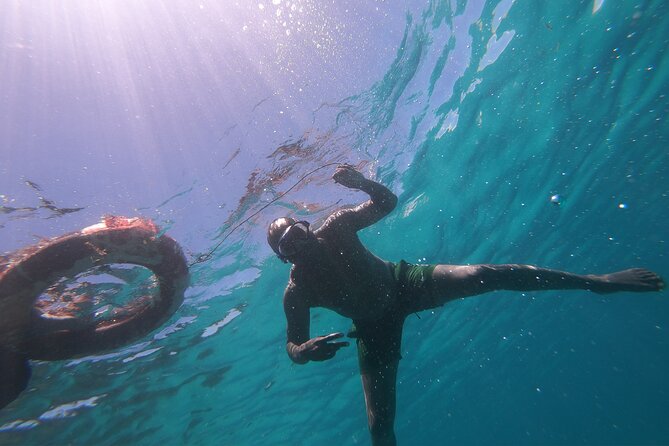 1 Day Wasini Dolphin Tour - Watching for dolphins around Wasini