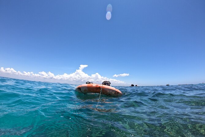 1 Day Wasini Dolphin Tour - Snorkeling at Kisite-Mpunguti Marine National Park