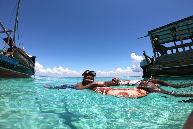1 Day Wasini Dolphin Tour - What the $150 price covers