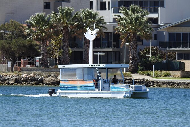 1 Hour Deluxe Scenic Dolphin Cruise - Key points at a glance