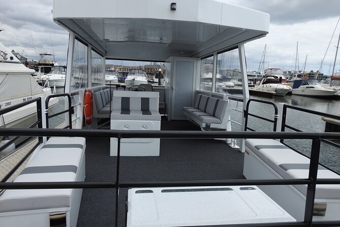 1 Hour Deluxe Scenic Dolphin Cruise - Looking for dolphins in open water