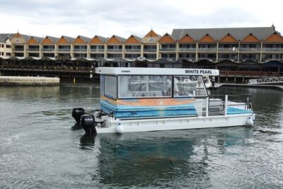 1 Hour Deluxe Scenic Dolphin Cruise