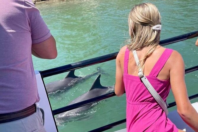 1 Hour Deluxe Scenic Dolphin Cruise - Creery Wetlands and Boundary Island