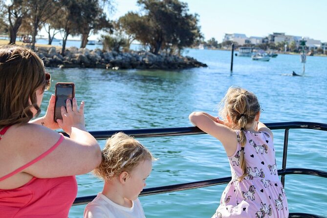 1 Hour Deluxe Scenic Dolphin Cruise - The skipper and the small-boat advantage