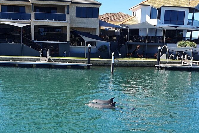 1 Hour Deluxe Scenic Dolphin Cruise - Weather, comfort, and practical details
