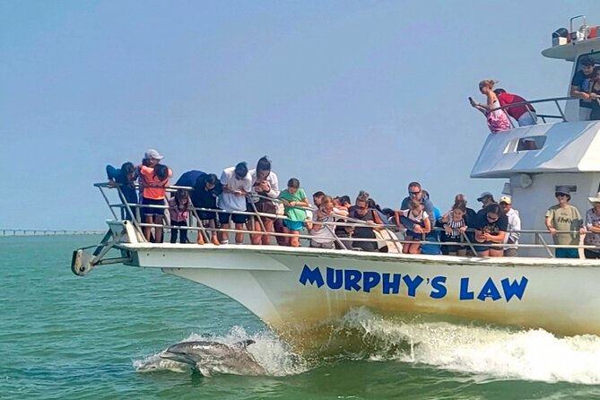 1 Hour Dolphin Dash - The 3:00 pm departure and the pace of the trip
