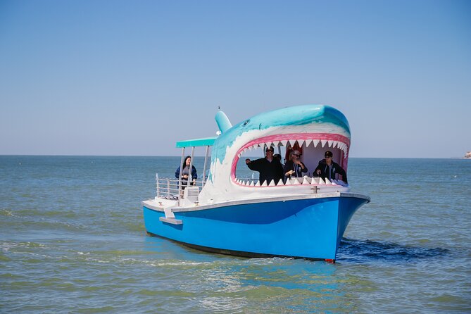 1-hour Dolphin Sightseeing Adventure Cruise from Madeira Beach - Key points at a glance