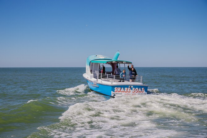 1-hour Dolphin Sightseeing Adventure Cruise from Madeira Beach - Dolphins are the reward, not a promise