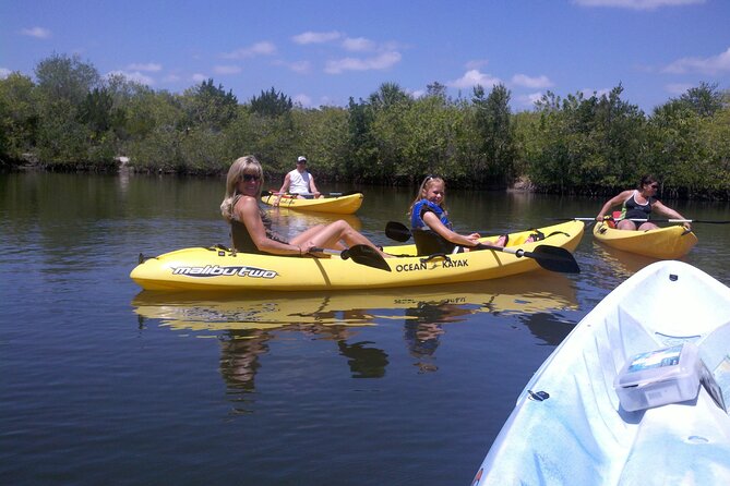 1-Hour Tandem Kayak Rental with Manatee & Dolphin sightings - Starting at Manatee Cove Park in Merritt Island