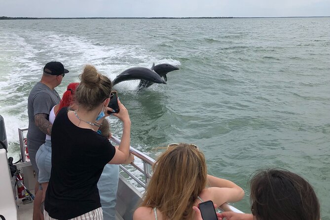10,000 Islands Boat Excursion - 3.5-Hour Dolphins & Shelling Tour - Key points at a glance