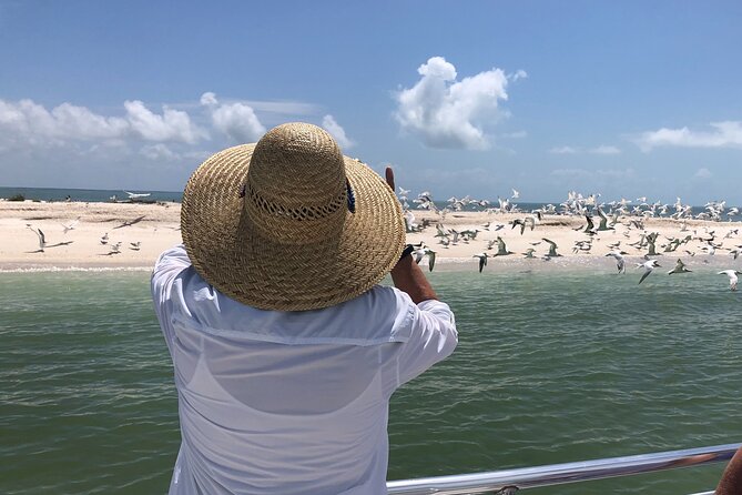 10,000 Islands Excursion Small-Group 3.5 hour Dolphin & Shelling Boat Tour - The $159.95 price and what you receive