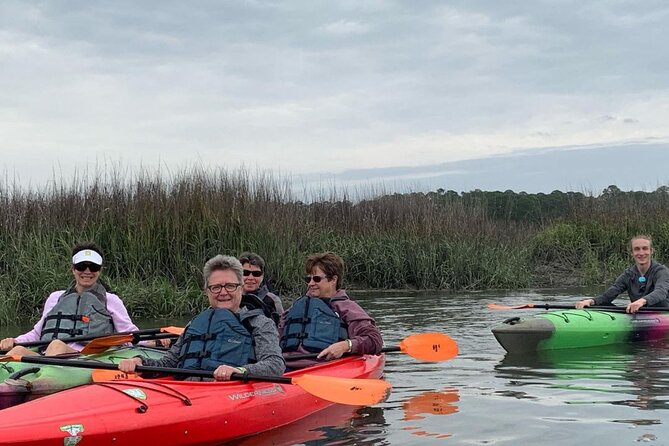 2 1/4 Hour Private Kayak Hilton Head Dolphin Nature Experience - Dolphins are the main event, not a staged show