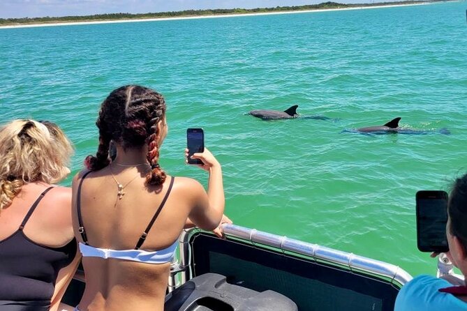 2.5 Hour Shell Key Island Adventure Including Dolphins And Shells - A Short Boat Ride from Gulfport to Shell Key