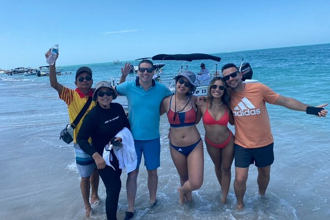 2.5 Hour Shell Key Island Adventure Including Dolphins And Shells - How the $59 Price Holds Up