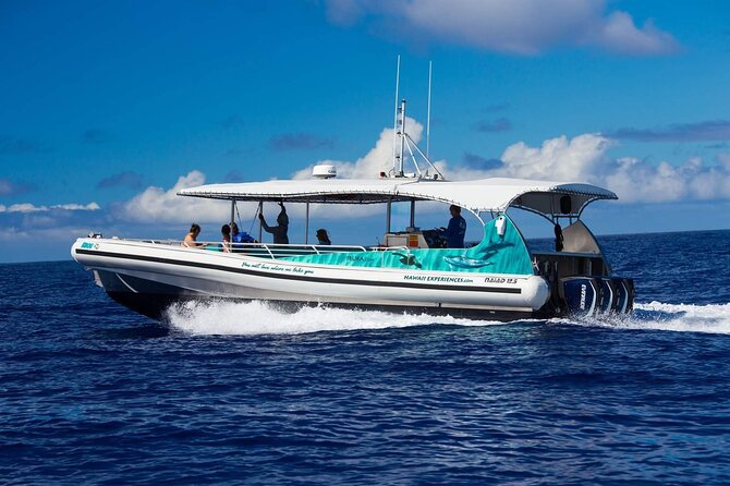 2 Hour Big Island Dolphin Watching and Sea Turtle Snorkel Tour - Quick points to know