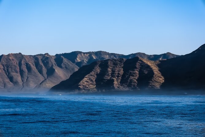 2 Hour Big Island Dolphin Watching and Sea Turtle Snorkel Tour - Who will get the best value