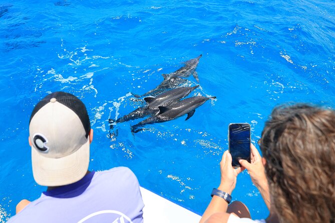 2 Hour Big Island Dolphin Watching and Sea Turtle Snorkel Tour - Looking for dolphins off Kailua-Kona