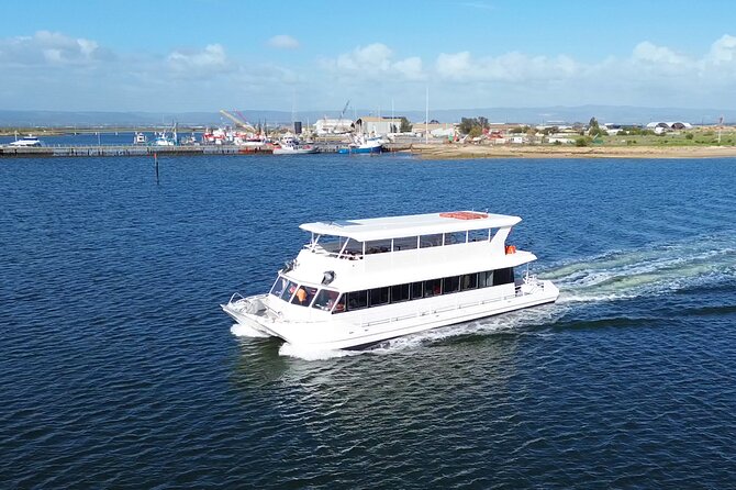 2-Hour Dolphin and Maritime Cruise in Port Adelaide - Why this Port Adelaide cruise is different