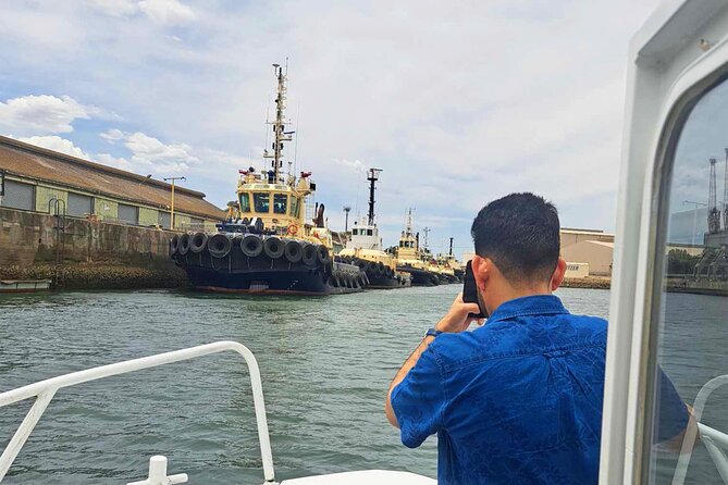 2-Hour Dolphin and Maritime Cruise in Port Adelaide - A glimpse of the Osborne Naval Shipyard