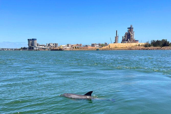 2-Hour Dolphin and Maritime Cruise in Port Adelaide - Is $63.12 good value for two hours?