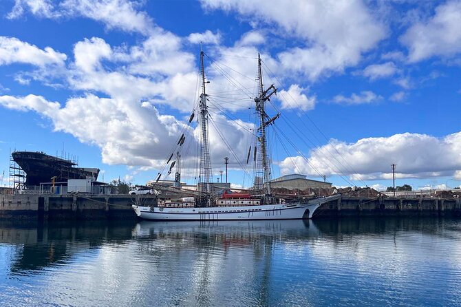 2-Hour Dolphin and Maritime Cruise in Port Adelaide - Weather, cancellations, and practical planning