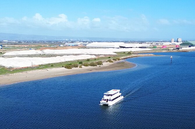 2-Hour Dolphin and Maritime Cruise in Port Adelaide - Who will enjoy this cruise most?