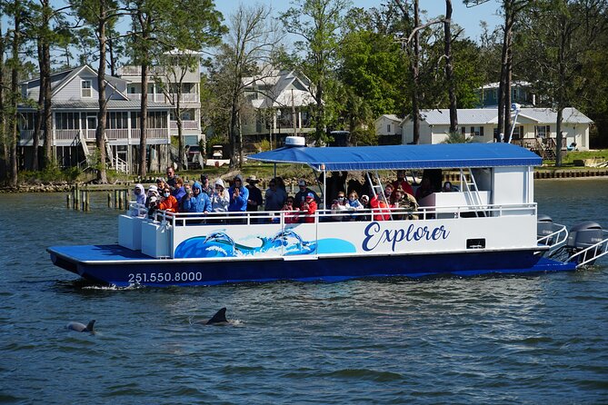 2-Hour Dolphin and Nature Eco Tour from Orange Beach - Key Things to Know Before You Go