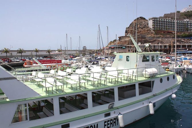 2-Hour Dolphin and Whale Watching in Gran Canaria - Should you book the Gran Canaria dolphin trip?