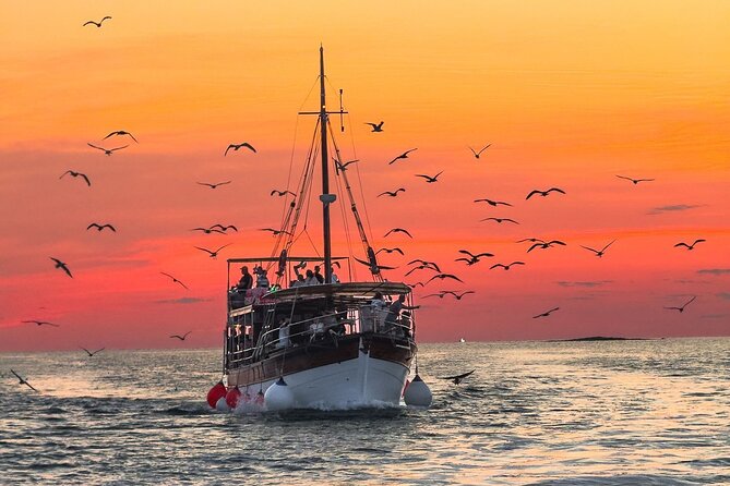 2-Hour Dolphin Guided Safari NP Brijuni from Fazana - Key points to know before you book