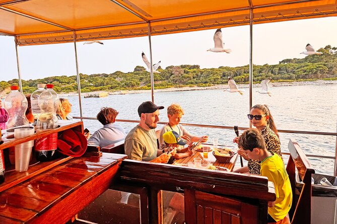 2-Hour Dolphin Guided Safari NP Brijuni from Fazana - Setting out from Fažana at 6:00 pm
