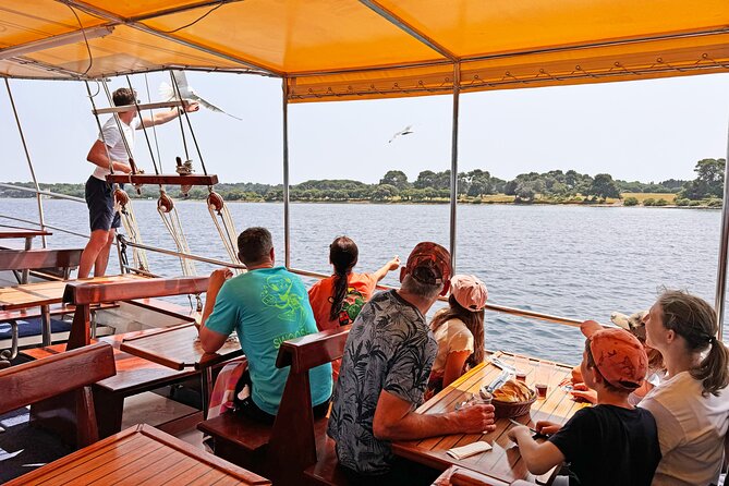 2-Hour Dolphin Guided Safari NP Brijuni from Fazana - What the guide adds to the outing