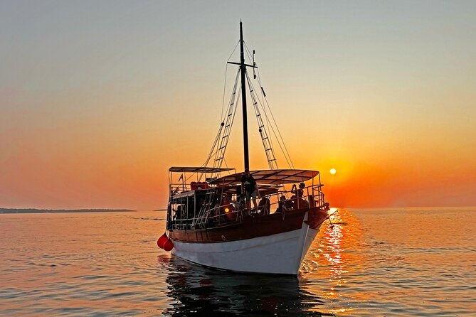 2-Hour Dolphin Guided Safari NP Brijuni from Fazana - Who will enjoy this tour most