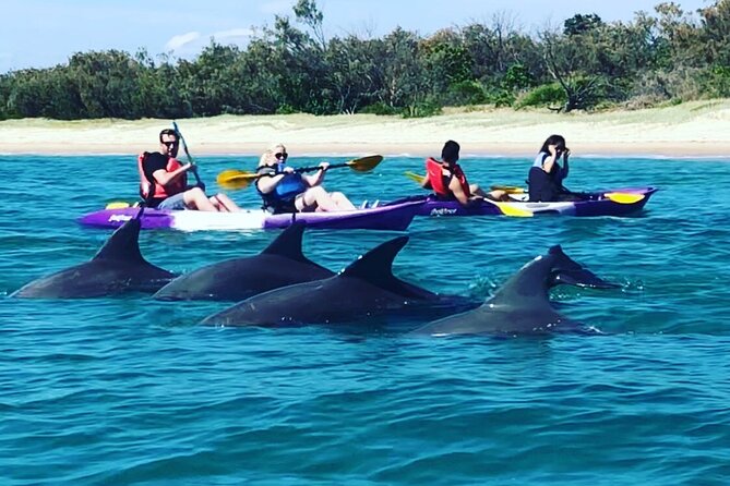 2-Hour Dolphin Kayak & Snorkel Tour on the Broadwater - Paddling out from Biggera Waters