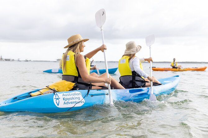 2-Hour Dolphin Kayak & Snorkel Tour on the Broadwater - What the guides add to the outing