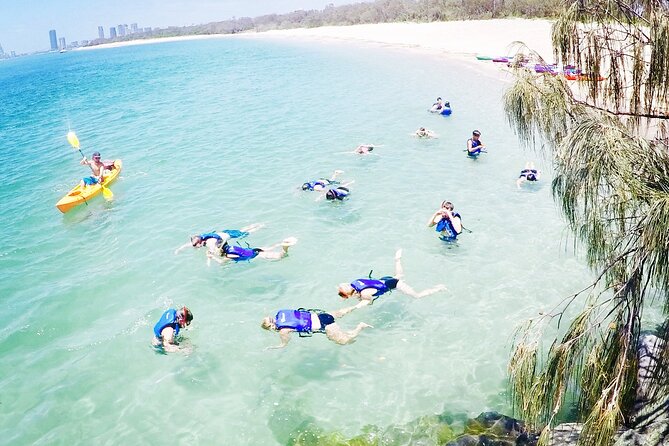 2-Hour Dolphin Kayak & Snorkel Tour on the Broadwater - Who will enjoy this Broadwater trip?