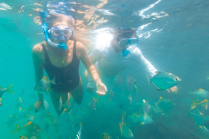 2-Hour Dolphin Kayak & Snorkel Tour on the Broadwater - Weather, visibility, and realistic expectations