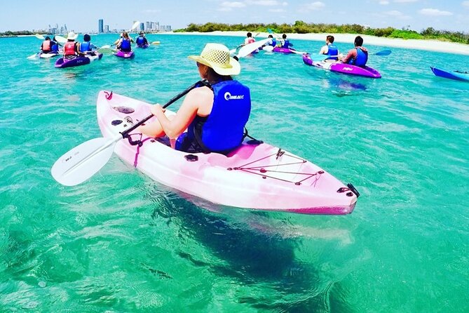 2-Hour Dolphin Kayak & Snorkel Tour on the Broadwater - How to get the most from your two hours