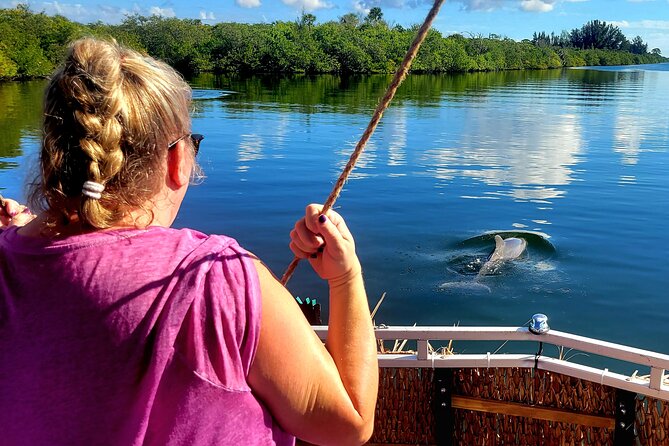 2 hour Dolphin Sightseeing Tour in Melbourne Florida - Key points to know before you book