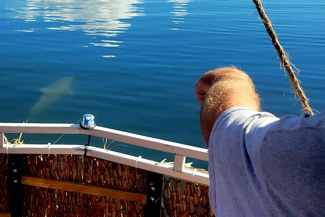 2 hour Dolphin Sightseeing Tour in Melbourne Florida - Weather, cancellations, and the wildlife factor