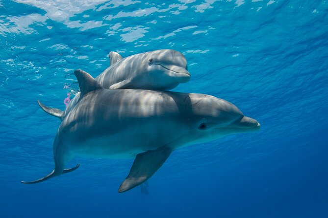 2-Hour Dolphin Sunset Tour from Giardini Naxos - Sunset over Giardini Naxos from the water