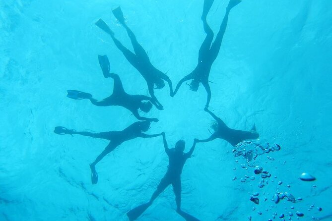 2-Hour Dolphin Watching and Double Reef with Snorkel in Hawaii - First reef: your main snorkeling window