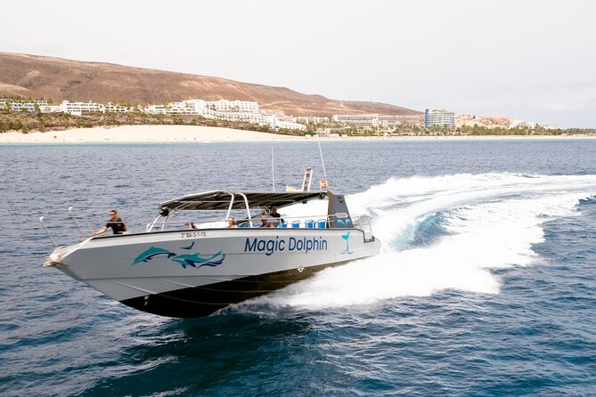 2-Hour Dolphin Watching Experience in Fuerteventura - Searching the southern coast for dolphins