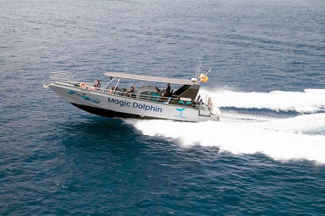 2-Hour Dolphin Watching Experience in Fuerteventura - Who will enjoy this cruise most?