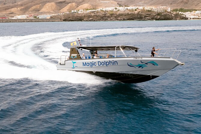 2-Hour Dolphin Watching Experience in Fuerteventura - What to clarify before you reserve