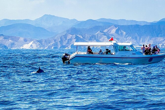 2 Hour Dolphin Watching Experience in Muscat - How the crew affects the experience
