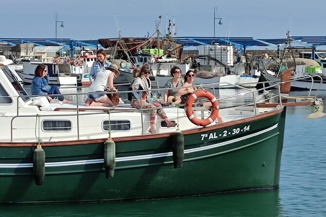 2-Hour Excursion in Search of Dolphins/ Includes Drink and Snacks - The drink, snacks, and swimming stop