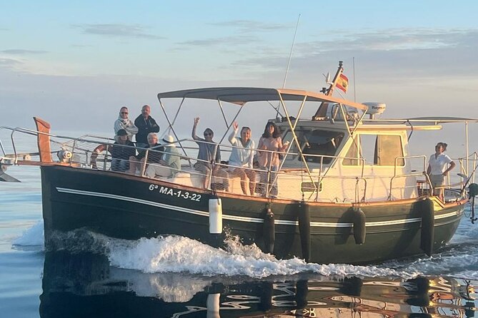 2-Hour Excursion in Search of Dolphins/ Includes Drink and Snacks - What the two hours are really like