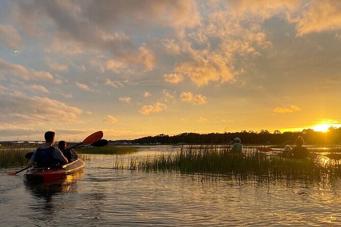 2 Hour Kayak Hilton Head Dolphin and Nature Tour - Is $49 a good value?