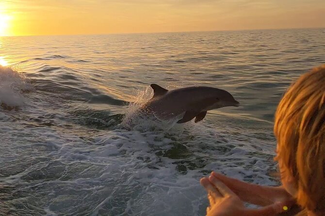 2 Hour Private Dolphin and Sightseeing Tour Shell Island - A private way to see Panama City Beach from the water
